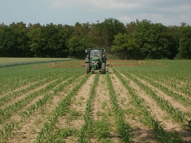 Traktor pracujący na polu
