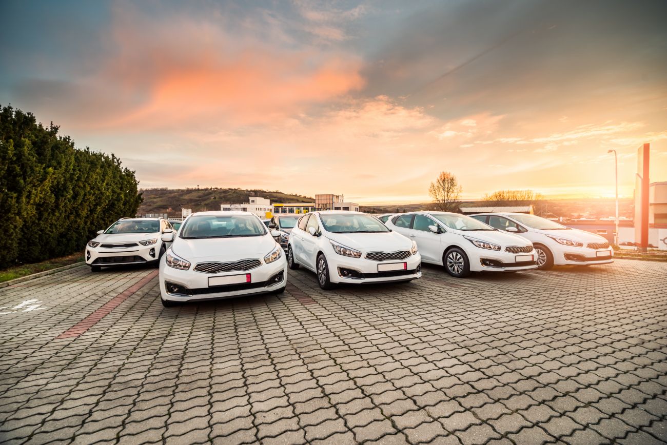 Flota białych samochodów służbowych na parkingu