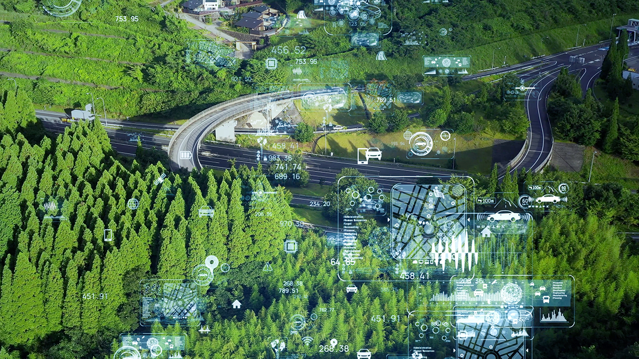 Road surrounded by forest with tech overlay